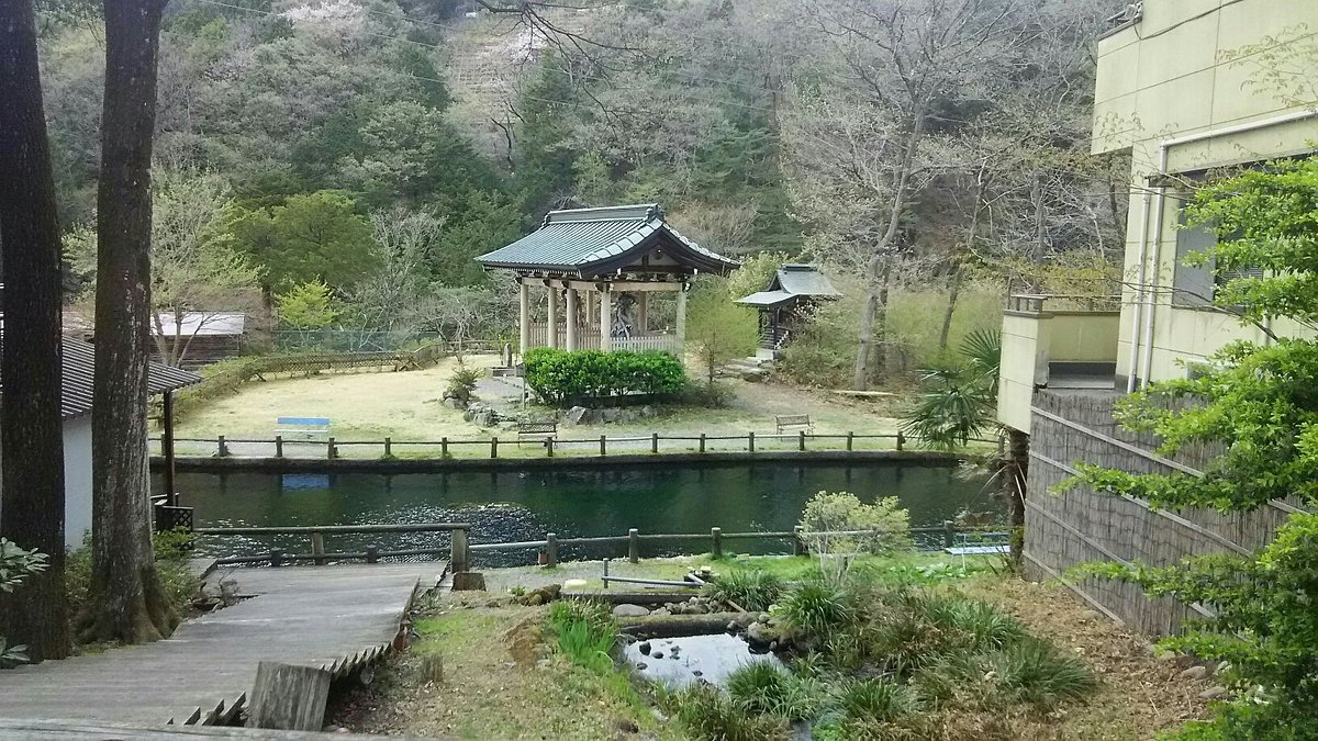 🌳 도스시 중앙공원 (도스시 주오코엔) 이미지 7